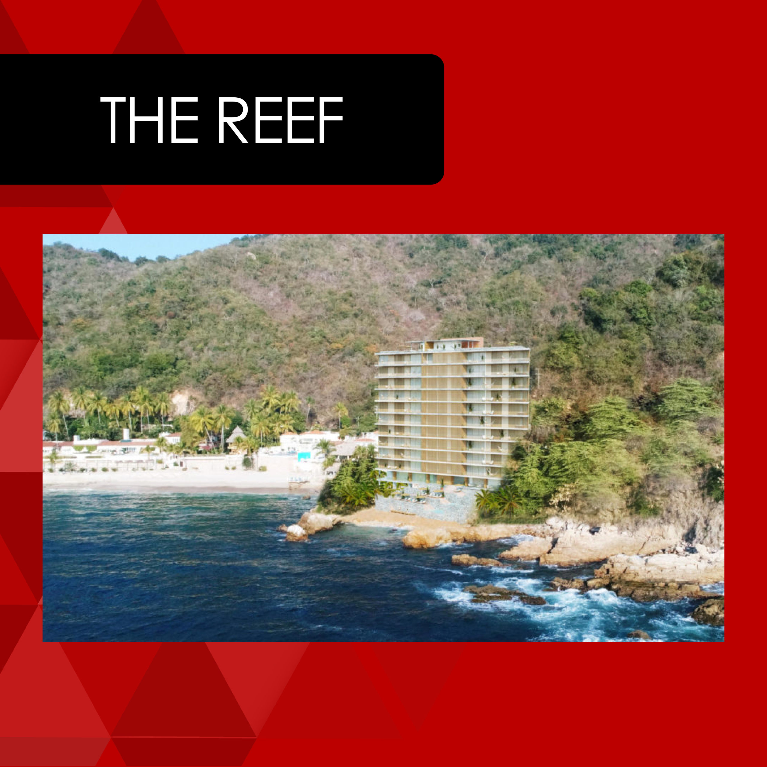 the reef